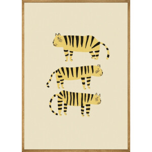 Drie Dromerige Tijgers Poster - 50x70 cm