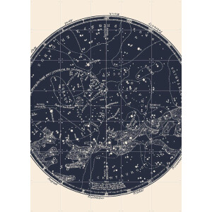 IXXI Southern Constellations, Aster Edition - 100 x 140 cm - Gratis ophangtool - Grote wanddecoratie en posters - Technische Tekening, Vintage