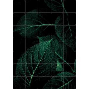 IXXI Dark Leaves, Mareike Böhmer - 100 x 140 cm - Gratis ophangtool - Grote wanddecoratie en posters - Naturalisme, Fotografie, Slaapkamer, Woonkamer