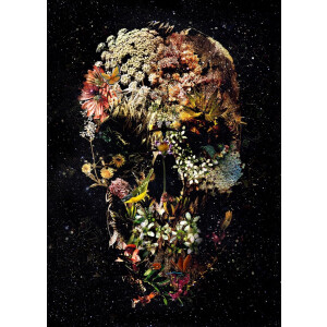 Skull Smyrna- Kristal Helder Galerie kwaliteit Plexiglas 5mm. - Blind Aluminium Ophang-frame - Luxe wanddecoratie - Fotokunst - professioneel verpakt en gratis bezorgd