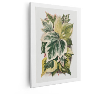 Artaza Canvas Schilderij Gevlamde Klimopbladeren met Diverse Kleuren en Patronen - 40x50 cm - Wanddecoratie Woonkamer - Schilderijen - Muurdecoratie