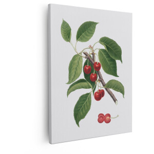 Artaza Canvas Schilderij Kersen - 80x100 cm - Wanddecoratie Botanisch - Muurdecoratie Fruit - Decoratie Vintage Tak - Rood