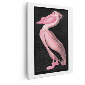 Artaza Canvas Schilderij Roze Pelikaan met Lange Snavel - Klassieke Illustratie op Zwarte Achtergrond - 80x100 cm - Groot - Wanddecoratie Woonkamer - Schilderijen - Muurdecoratie