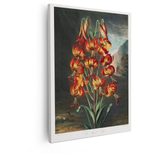 Artaza Canvas Schilderij Bloemen - 40x50 cm - Wanddecoratie Turkse Lelie - Muurdecoratie Vintage - Decoratie Botanisch - Oranje