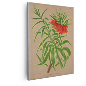 Artaza Canvas Schilderij Keizerskroon - 80x100 cm - Wanddecoratie Bloemen - Muurdecoratie Vintage - Decoratie Woonkamer - Oranje