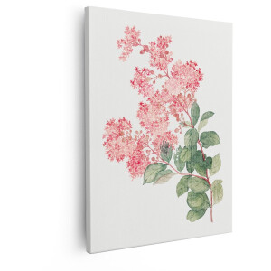 Artaza Canvas Schilderij Bloemen - 40x50 cm - Wanddecoratie Roze Bloesem - Muurdecoratie Aquarel - Decoratie Vintage Botanisch
