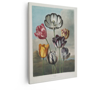 Artaza Canvas Schilderij Tulpen - 40x50 cm - Wanddecoratie Bloemen - Muurdecoratie Vintage - Decoratie Stilleven Woonkamer