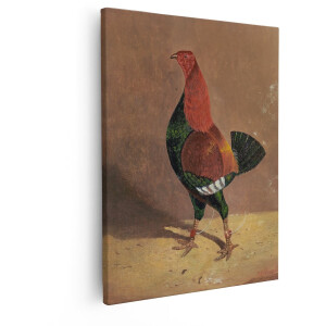 Artaza Canvas Schilderij Haan - 40x50 cm - Wanddecoratie Vogels - Muurdecoratie Landelijk - Decoratie Dieren Schilderij