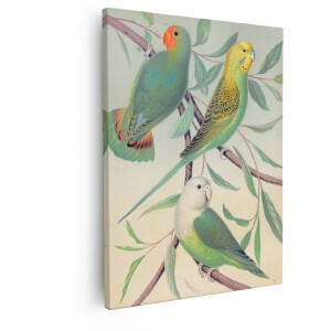 Artaza Canvas Schilderij Parkieten - 40x50 cm - Wanddecoratie Vogels - Muurdecoratie Vintage - Decoratie Tropische Vogels - Schilderijen Op Canvas