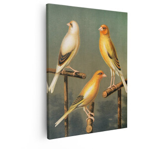 Artaza Canvas Schilderij Kanaries - 40x50 cm - Wanddecoratie Vogels - Muurdecoratie Vintage - Decoratie Schilderij Dieren