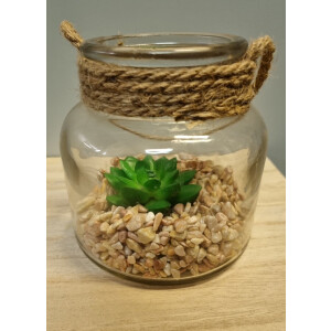 Countryfield vetplant in pot S