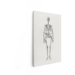 Artaza Canvas Schilderij Gedetailleerde Anatomische Illustratie van een Menselijk Skelet in Staande Positie - 80x120 cm - Groot - Wanddecoratie Woonkamer - Schilderijen - Muurdecoratie