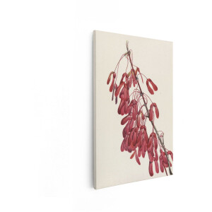 Artaza Canvas Schilderij Gedetailleerde Aquarelillustratie van Rode Esdoornzaadjes aan een Tak - 80x120 cm - Groot - Wanddecoratie Woonkamer - Schilderijen - Muurdecoratie