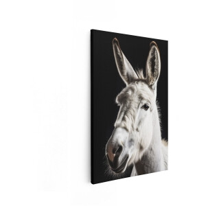 Artaza Canvas Schilderij Portret van een Witte Ezel met Lange Oren tegen een Zwarte Achtergrond - 80x120 cm - Groot - Wanddecoratie Woonkamer - Schilderijen - Muurdecoratie