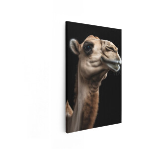 Artaza Canvas Schilderij Close-Up Portret van een Dromedaris met een Zwarte Achtergrond - 20x30 cm - Klein - Wanddecoratie Woonkamer - Schilderijen - Muurdecoratie