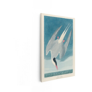 Artaza Canvas Schilderij Vogel - 60x90 cm - Wanddecoratie Noordse Stern - Muurdecoratie Zee - Vintage Schilderijen Op Canvas