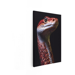 Artaza Canvas Schilderij Gedetailleerde Close-Up van de Kop van een Rode Slang met Zwarte Achtergrond - 20x30 cm - Klein - Wanddecoratie Woonkamer - Schilderijen - Muurdecoratie