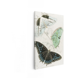 Artaza Canvas Schilderij Vlinders - 80x120 cm - Wanddecoratie Vintage - Muurdecoratie Natuur - Decoratie Dieren Schilderij