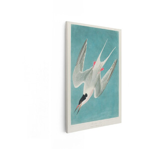 Artaza Canvas Schilderij Vogel - 80x120 cm - Wanddecoratie Zeevogel - Muurdecoratie Vintage - Decoratie Stern - Schilderijen Op Canvas