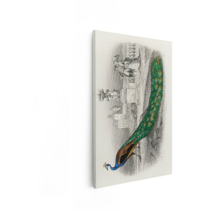 Artaza Canvas Schilderij Prachtige Pauw met Sierlijke Staart in een Historische Tuin met Figuren - 80x120 cm - Groot - Wanddecoratie Woonkamer - Schilderijen - Muurdecoratie