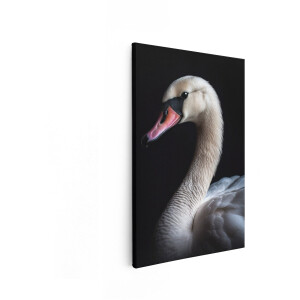 Artaza Canvas Schilderij Prachtige Zwaan met Witte Veren en Zwarte Achtergrond - Close-Up Portret - 60x90 cm - Wanddecoratie Woonkamer - Schilderijen - Muurdecoratie