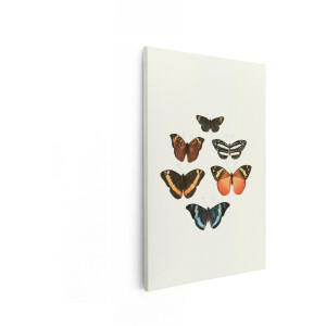 Artaza Canvas Schilderij Verschillende Vlinders in Diverse Kleuren en Patronen op een Lichte Achtergrond - 20x30 cm - Klein - Wanddecoratie Woonkamer - Schilderijen - Muurdecoratie