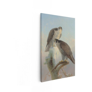 Artaza Canvas Schilderij Slechtvalken - 60x90 cm - Wanddecoratie Vogels - Muurdecoratie Roofvogels - Decoratie Winterse Natuur