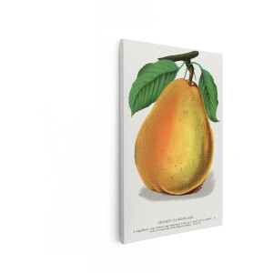Artaza Canvas Schilderij Peer - 60x90 cm - Wanddecoratie Keuken - Muurdecoratie Vintage Fruit - Decoratie Dessertpeer - Geel