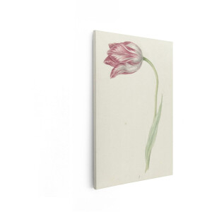 Artaza Canvas Schilderij Bloemen - 20x30 cm - Wanddecoratie Tulp - Muurdecoratie Vintage Aquarel - Decoratie Slaapkamer - Roze