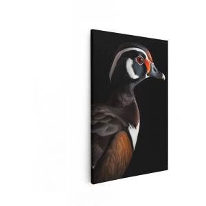 Artaza Canvas Schilderij Prachtige Mannelijke Houtduiker met Levendige Kleuren tegen een Zwarte Achtergrond - 60x90 cm - Wanddecoratie Woonkamer - Schilderijen - Muurdecoratie