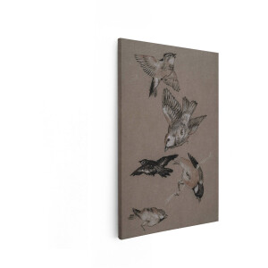 Artaza Canvas Schilderij Vogelschets - 20x30 cm - Wanddecoratie Vintage Natuur - Muurdecoratie Dieren - Schilderijen Op Canvas