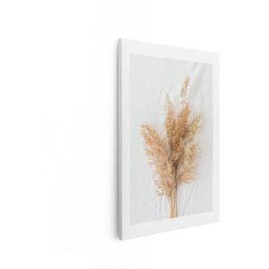 Artaza Canvas Schilderij Droog Pluimgras op een Witte - Kreukelige Achtergrond - Minimalistische Compositie - 20x30 cm - Klein - Wanddecoratie Woonkamer - Schilderijen - Muurdecoratie