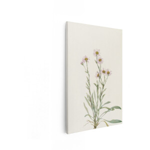 Artaza Canvas Schilderij Veldbloem - 40x60 cm - Wanddecoratie Bloemen - Muurdecoratie Vintage - Decoratie Aquarel Botanisch - Roze
