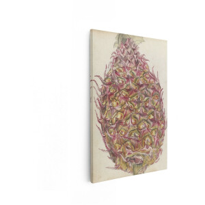 Artaza Canvas Schilderij Ananas - 80x120 cm - Wanddecoratie Vintage - Muurdecoratie Botanisch - Decoratie Fruit - Schilderijen Op Canvas