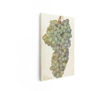Artaza Canvas Schilderij Druiventros - 20x30 cm - Wanddecoratie Keuken Vintage - Muurdecoratie Fruit - Decoratie Wijn Aquarel - Kamer Accessoires