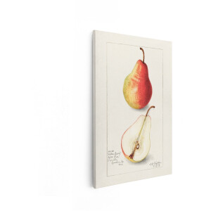 Artaza Canvas Schilderij Peer - 60x90 cm - Wanddecoratie Keuken - Muurdecoratie Stilleven - Decoratie Vintage Fruit - Schilderijen Op Canvas