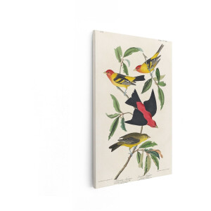 Artaza Canvas Schilderij Vogels - 40x60 cm - Wanddecoratie Vintage Tanager - Muurdecoratie Dieren - Schilderijen Op Canvas Woonkamer