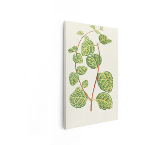 Artaza Canvas Schilderij Botanische Plant - 80x120 cm - Wanddecoratie Bladeren - Muurdecoratie Vintage - Decoratie Groen Botanisch