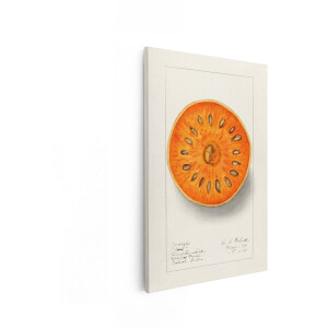 Artaza Canvas Schilderij Gedetailleerde Illustratie van een Dwarsdoorsnede van een Baelfruit met Zaden - 60x90 cm - Wanddecoratie Woonkamer - Schilderijen - Muurdecoratie
