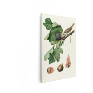 Artaza Canvas Schilderij Vijgen - 20x30 cm - Wanddecoratie Botanisch - Muurdecoratie Vogel - Vintage Decoratie Boom - Kamer Accessoires