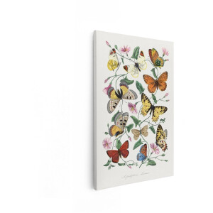 Artaza Canvas Schilderij Vlinders - 80x120 cm - Wanddecoratie Bloemen - Muurdecoratie Vintage - Decoratie Natuur - Schilderijen Op Canvas