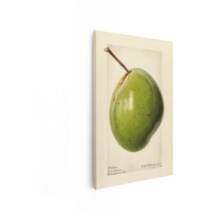 Artaza Canvas Schilderij Mango - 40x60 cm - Wanddecoratie Keuken - Muurdecoratie Vintage Fruit - Decoratie Groen - Schilderijen Op Canvas