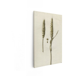 Artaza Canvas Schilderij Gedetailleerde Aquareltekening van twee Tarwearen en Losse Korrels - 40x60 cm - Wanddecoratie Woonkamer - Schilderijen - Muurdecoratie