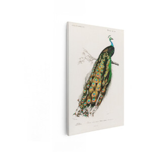 Artaza Canvas Schilderij Prachtige Pauw met Weelderige Staart Zittend op een Tak - Gedetailleerde Illustratie - 40x60 cm - Wanddecoratie Woonkamer - Schilderijen - Muurdecoratie