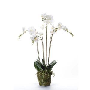 Emerald Kunstplant orchidee met mos wit 90 cm 20.355