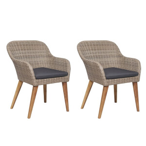 vidaXL Tuinstoelen 2 st met kussens poly rattan bruin