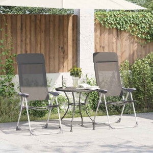 vidaXL Campingstoelen 2 st inklapbaar aluminium grijs