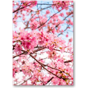 Roze Bloesem met een Blauwe Lucht - Tuinposter 50x70 - Wanddecoratie - Besteposter - Landschap - Natuur - Bloemen