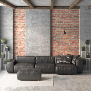 vidaXL 10 st Wandpanelen 3D rode baksteen EPS