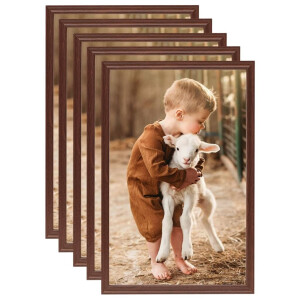 vidaXL Fotolijsten 5 st voor tafel 21x29,7 cm MDF bruin